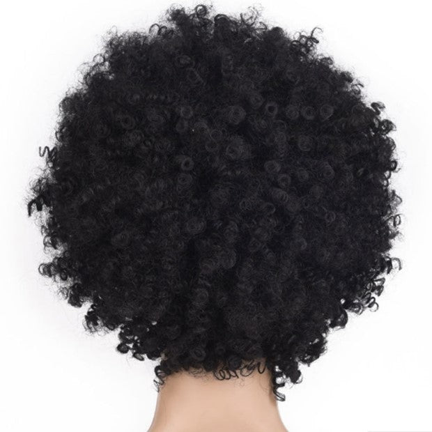 Sensual & sexy AFRO Wig Explosion Head