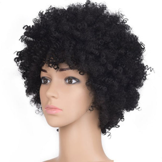 Sensual & sexy AFRO Wig Explosion Head