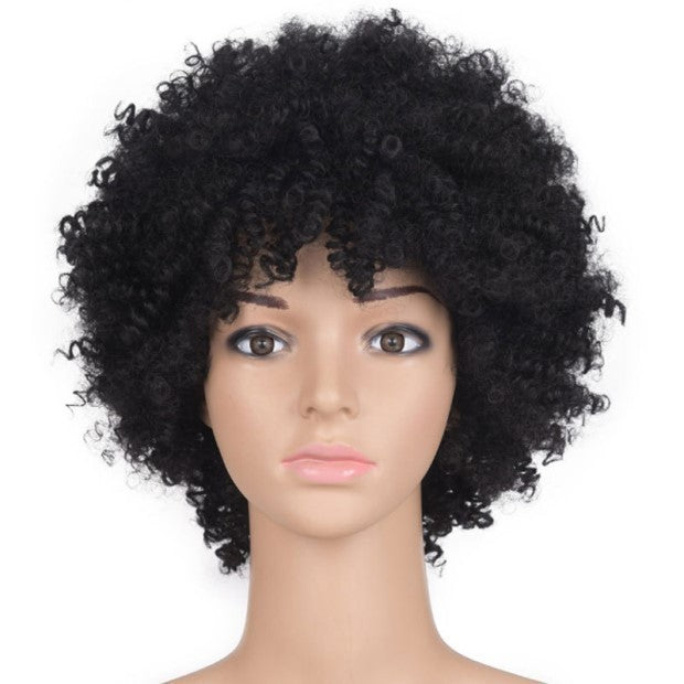 Sensual & sexy AFRO Wig Explosion Head